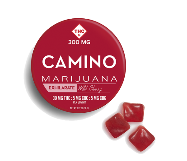 Camino THC Gummies 300MG